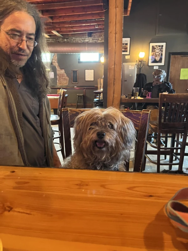 Dog and it's owner sitting at the bar of Speakeasy in Carrboro